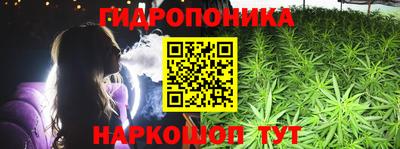 дурь Можга