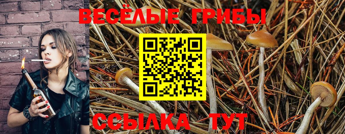 Чебоксары  Псилоцибиновые грибы мицелий  как найти   Вход с VPN  Псилоцибиновые грибы ЛСД 